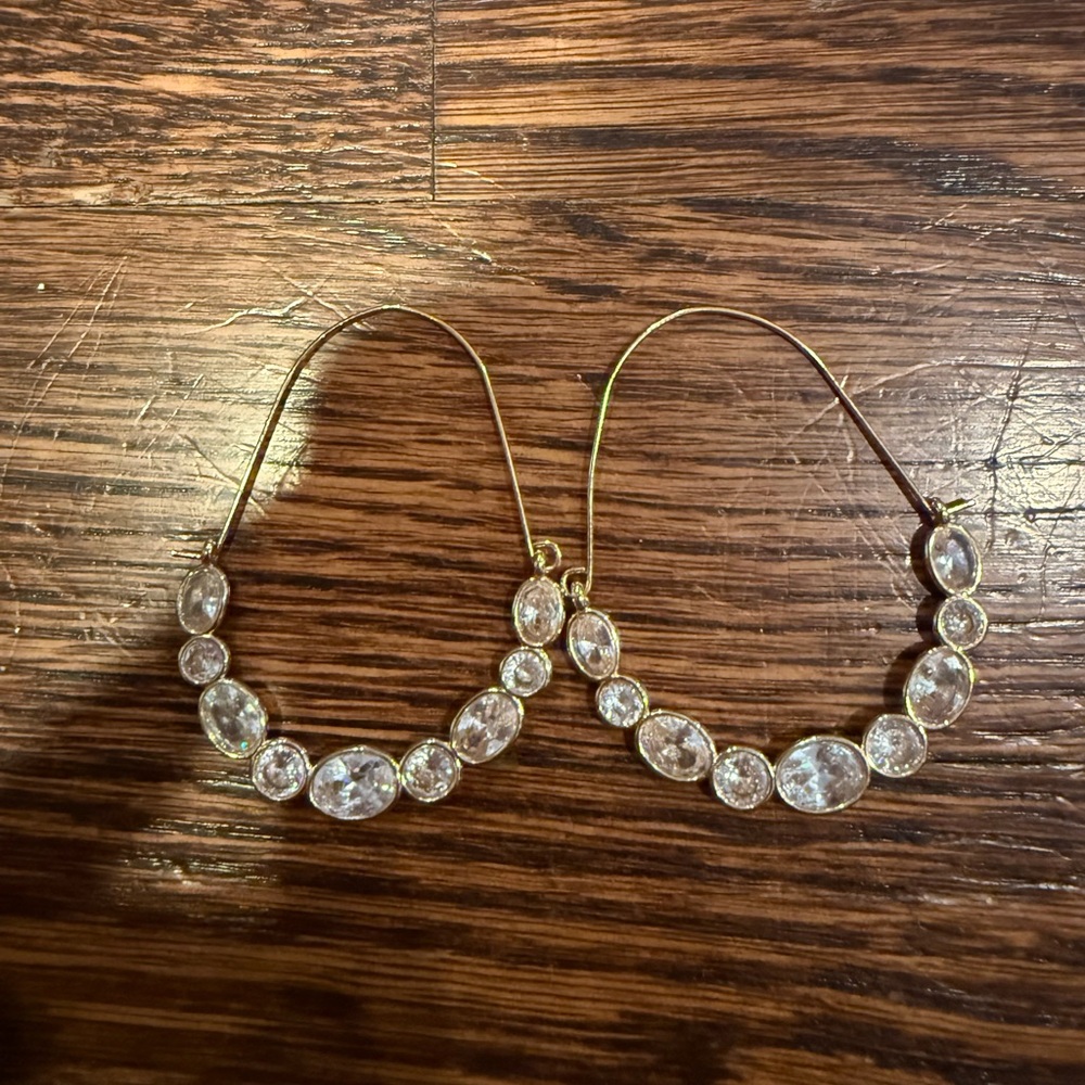 Elegant Gold Hoop Earrings
